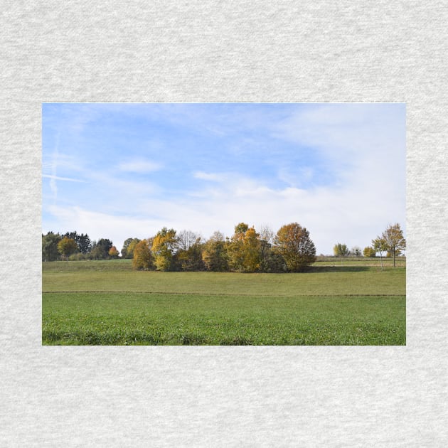 Group of trees in autumn by Roland69